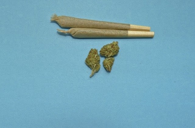 marijuana ou de chanvre